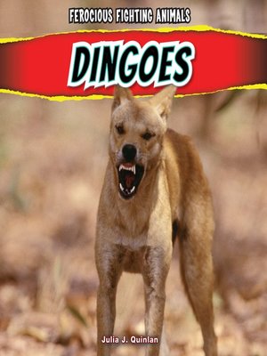 cover image of Dingoes
